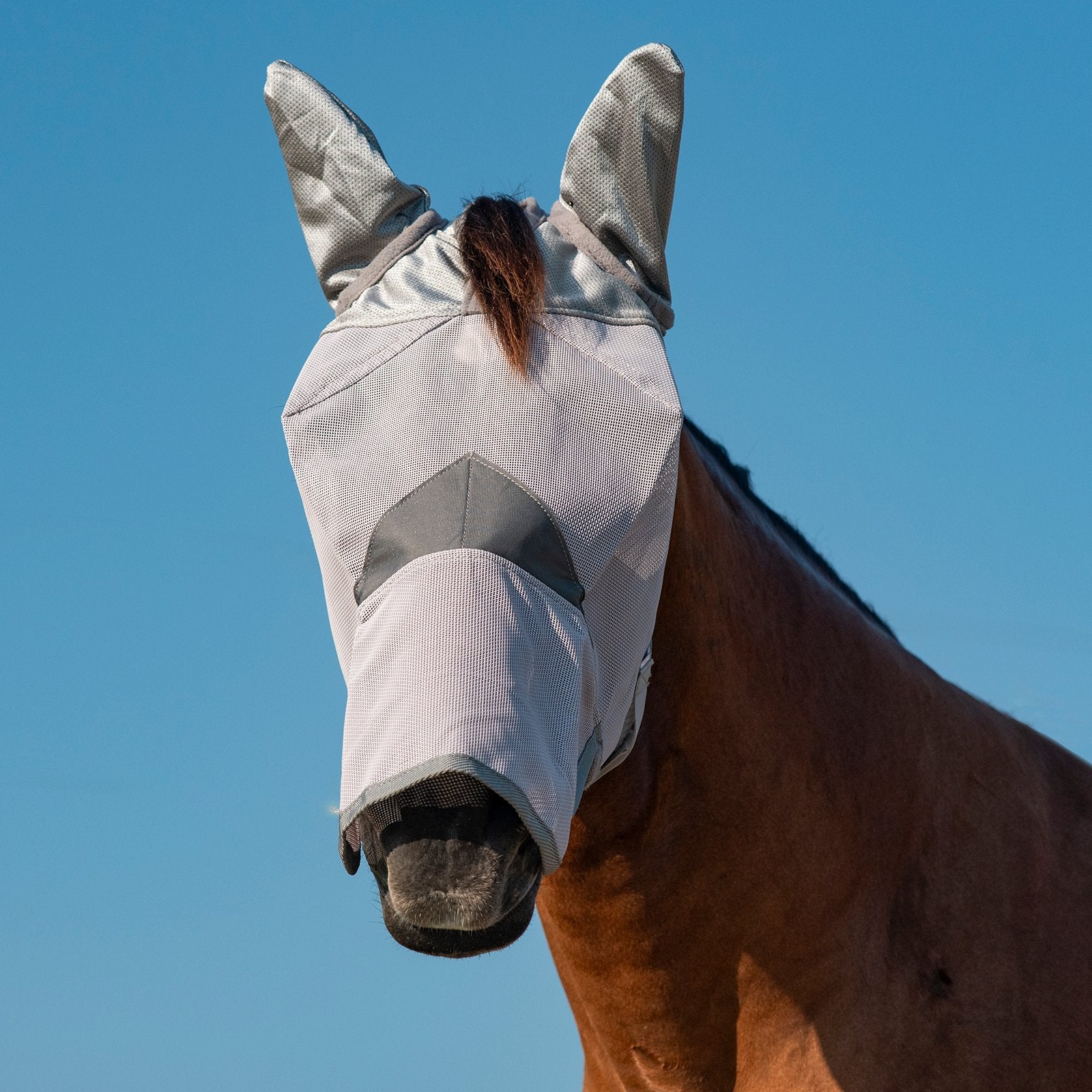 Front view of a bay horse wearing the gray horse sized Cashel Crusader Fly Mask with Long Nose and Ears on a blue sky background