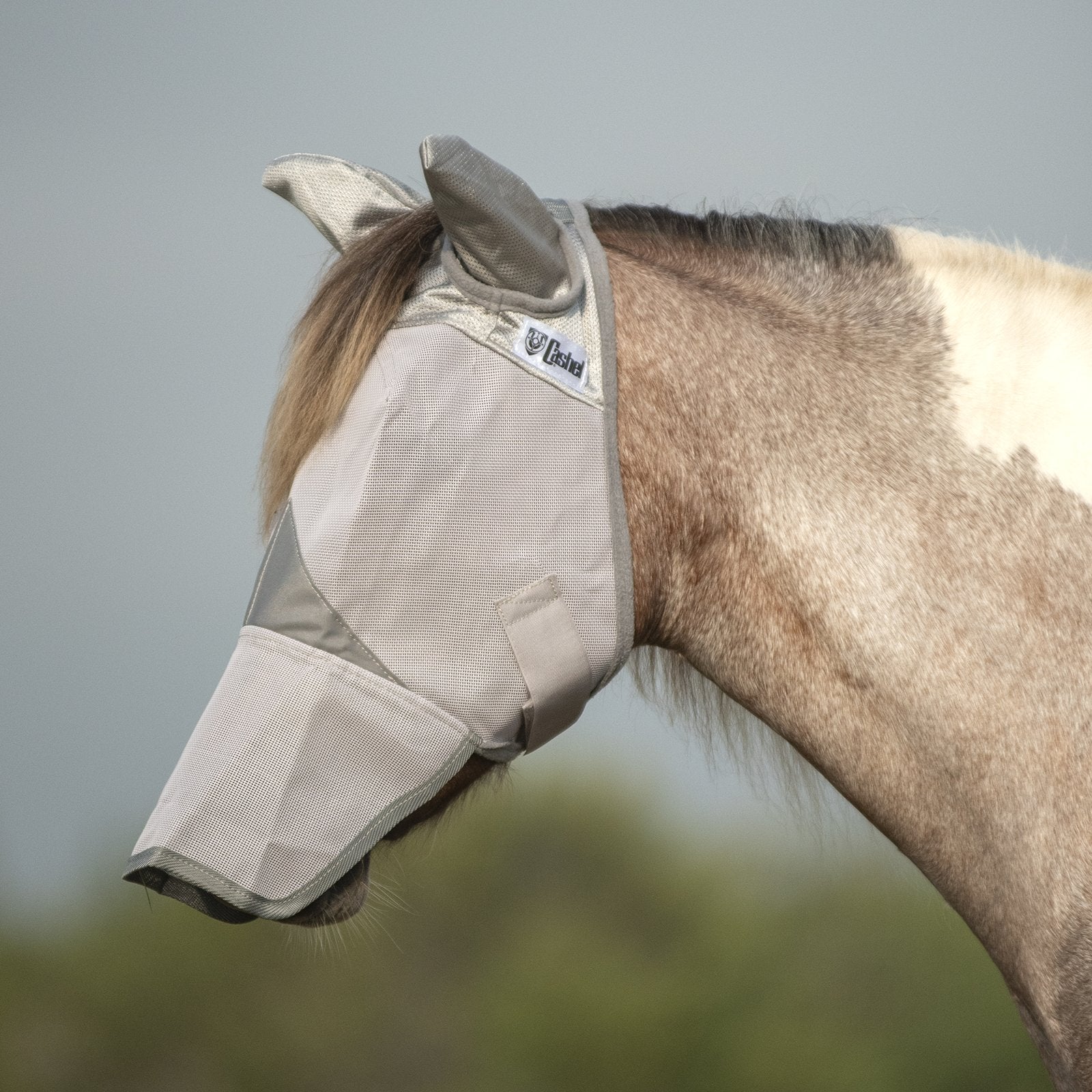 Side view of a paint pony wearing the gray Cashel Crusader Fly Mask with Long Nose and Ears while standing outside