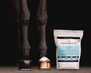 Front view a black horse standing next to a small bag of Equine Elixirs Crackdown