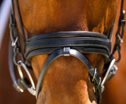 Black Oak Daphne Bridle