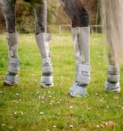 Horse wearing Rambo Tech-Fit Fly Boots in silver on all four legs standing in pasture