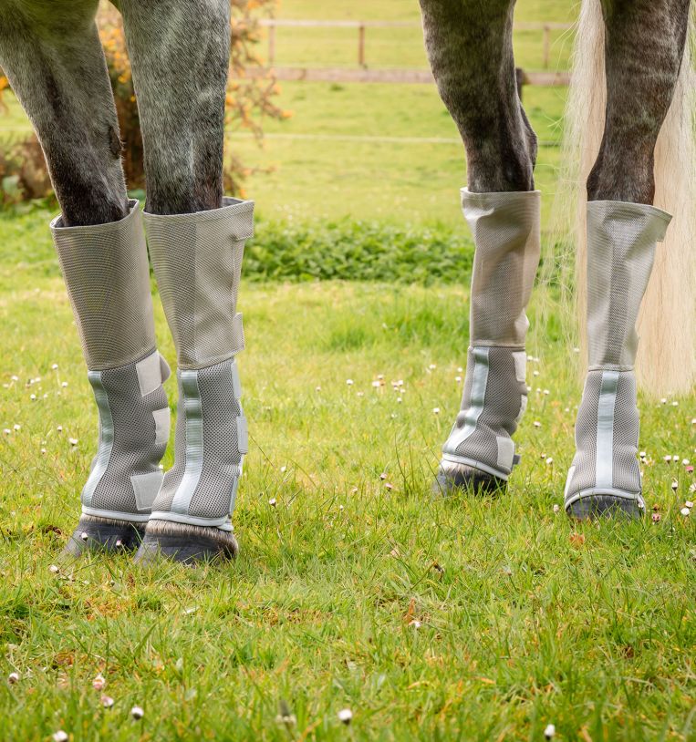 Close view of horse legs wearing Rambo Tech-Fit Fly Boots in silver standing on grass