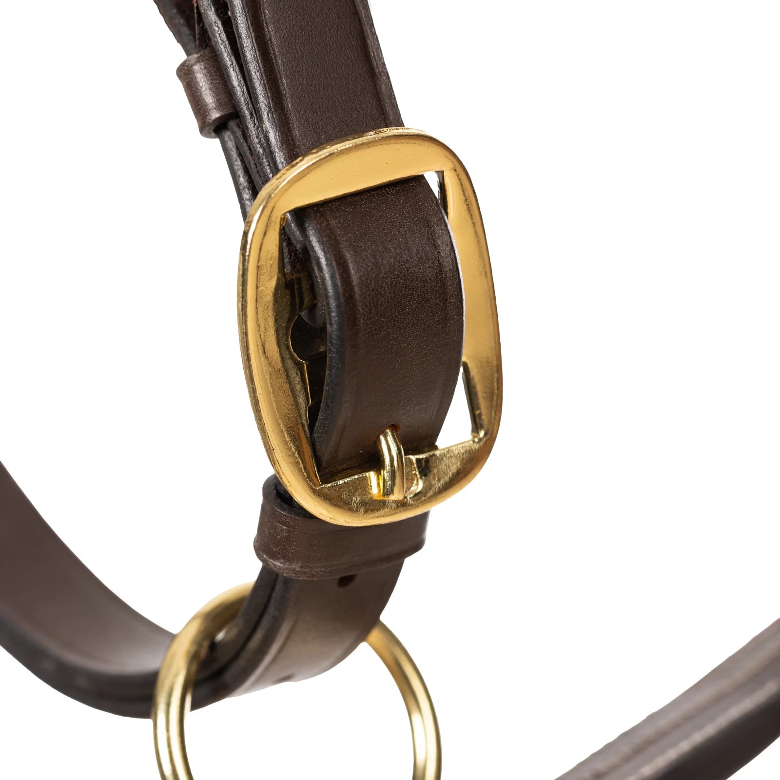 Close-up view of the adjustable chin strap on the Equinavia Valkyrie Triple Stitched Halter