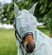 Horse wearing Horseware Newmarket Fly Mask in Witney Dynasty facing forward in grassy field