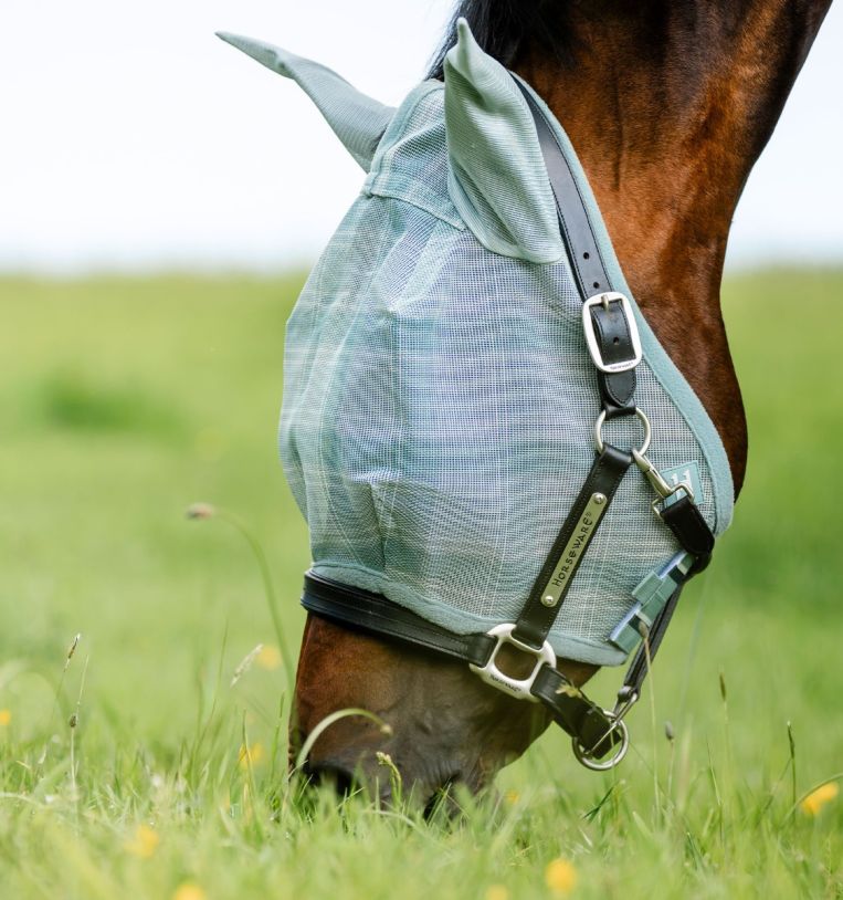 Horse wearing Horseware Newmarket Fly Mask in Witney Dynasty grazing in pasture