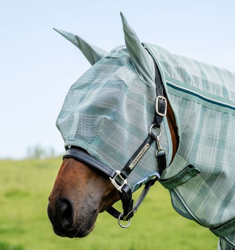 Horse wearing Horseware Newmarket Fly Mask in Witney Dynasty, side view of head