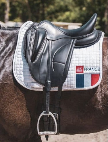 Saddle on a horse with a visible brand logo