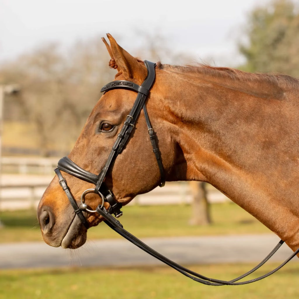 Side view of a horse wearing the Equinavia Valkyrie Anatomic Dressage Bridle with Rubber Reins outside