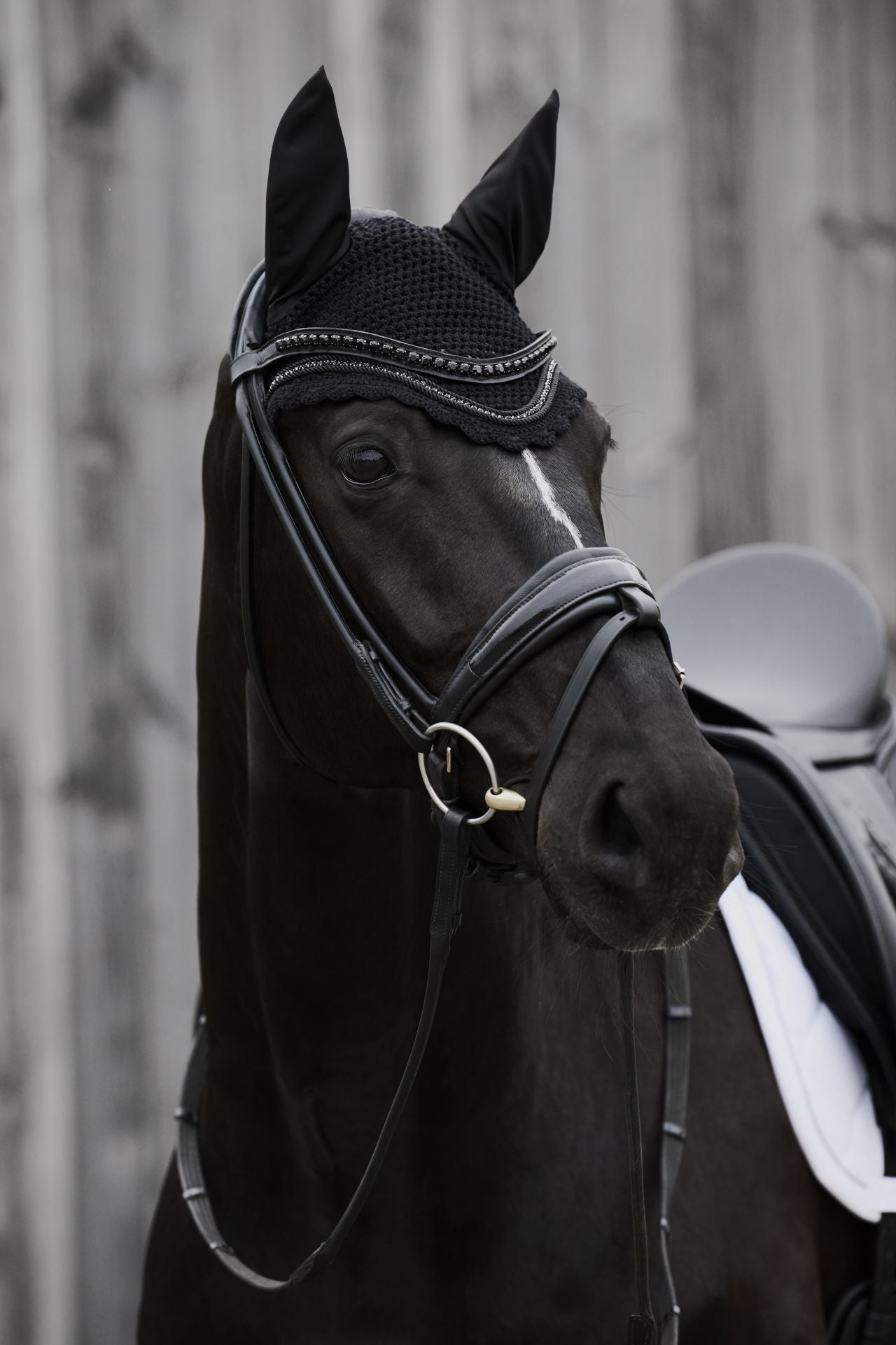 Angled front view of a black horse wearing the black Eskadron Crystal Fly Hood