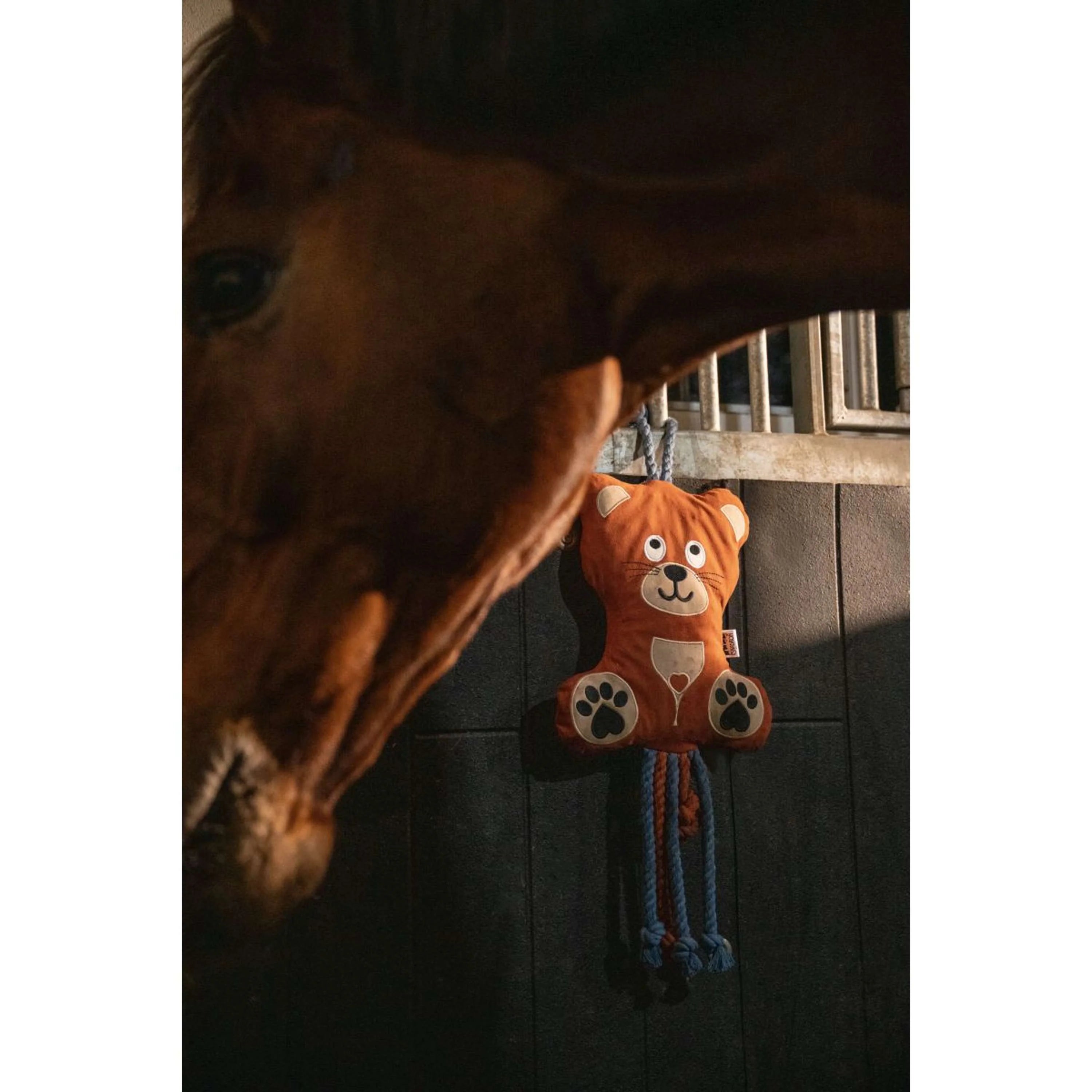 View of the Eskadron Bear Horse Toy hanging in a stall with a horse standing in front
