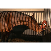 Side view of a horse smelling a Eskadron Bear Horse Toy that is hanging in a stall