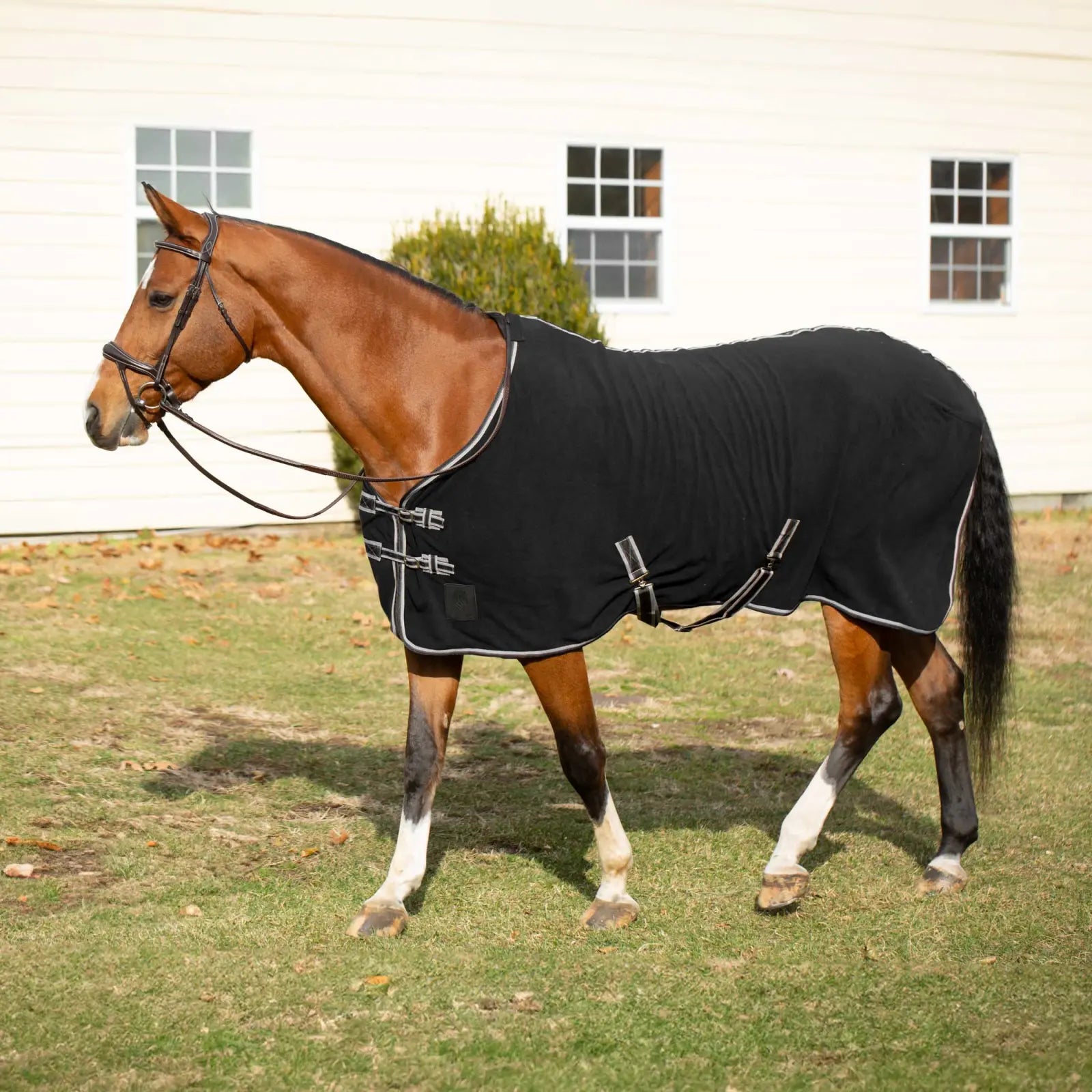 Side view of a bay horse wearing the black Equinavia Norse Fleece Cooler while standing outside in front of a white building