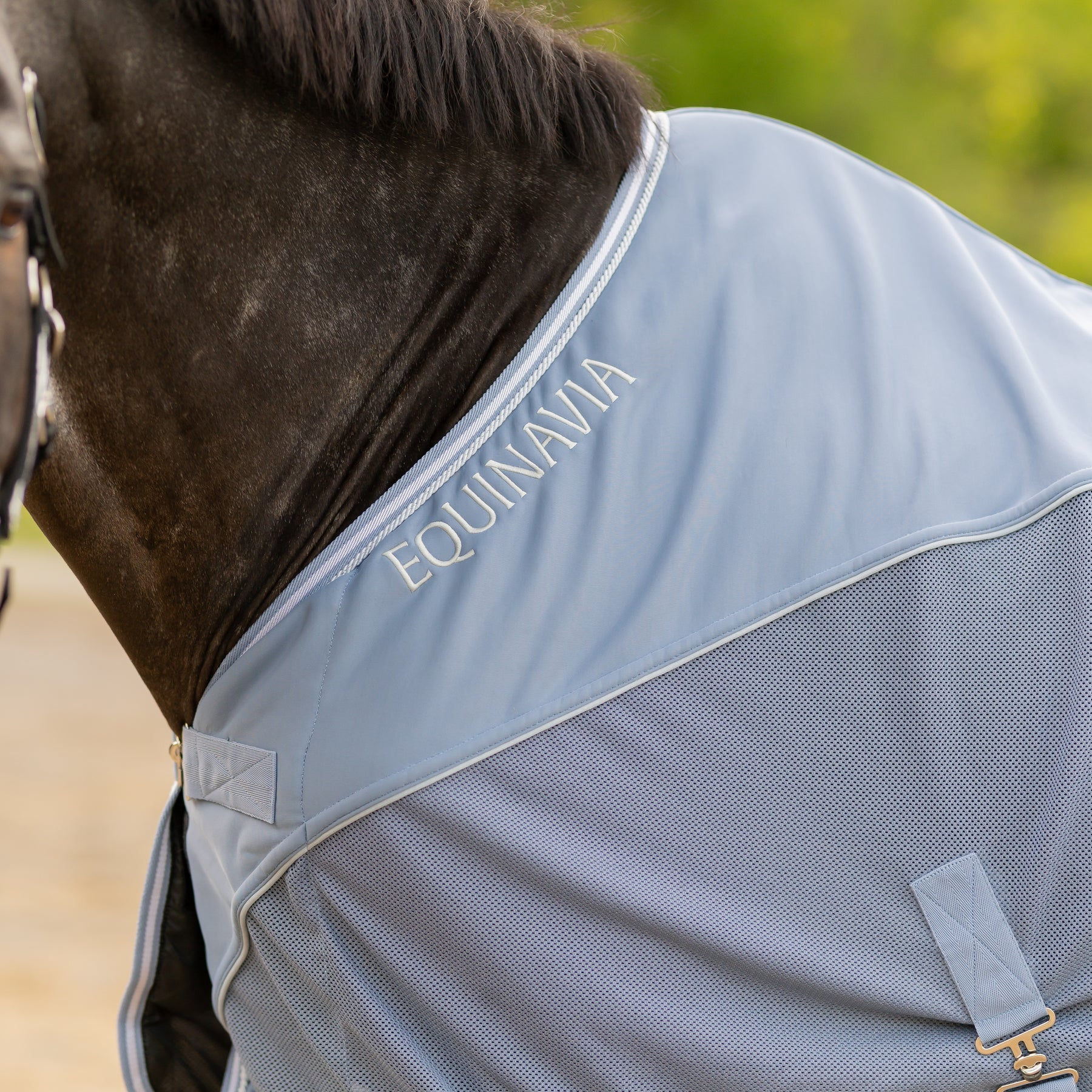 Side closeup view of a horse wearing Dusk Blue Equinavia Sommer Stable Sheet with NordicAir Tech