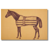 ThomasPaul Equestrian Vintage Woven Vinyl Placemat Set of 4