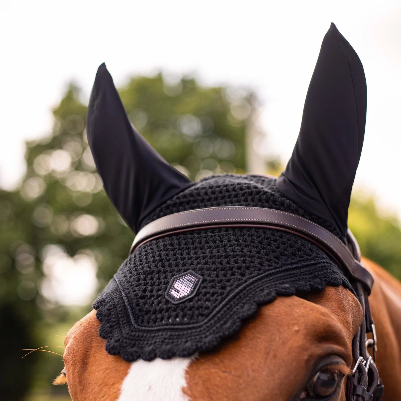 Close-up front view of a chestnut horse wearing the black swarovski Samshield Flyshield Fly Veil