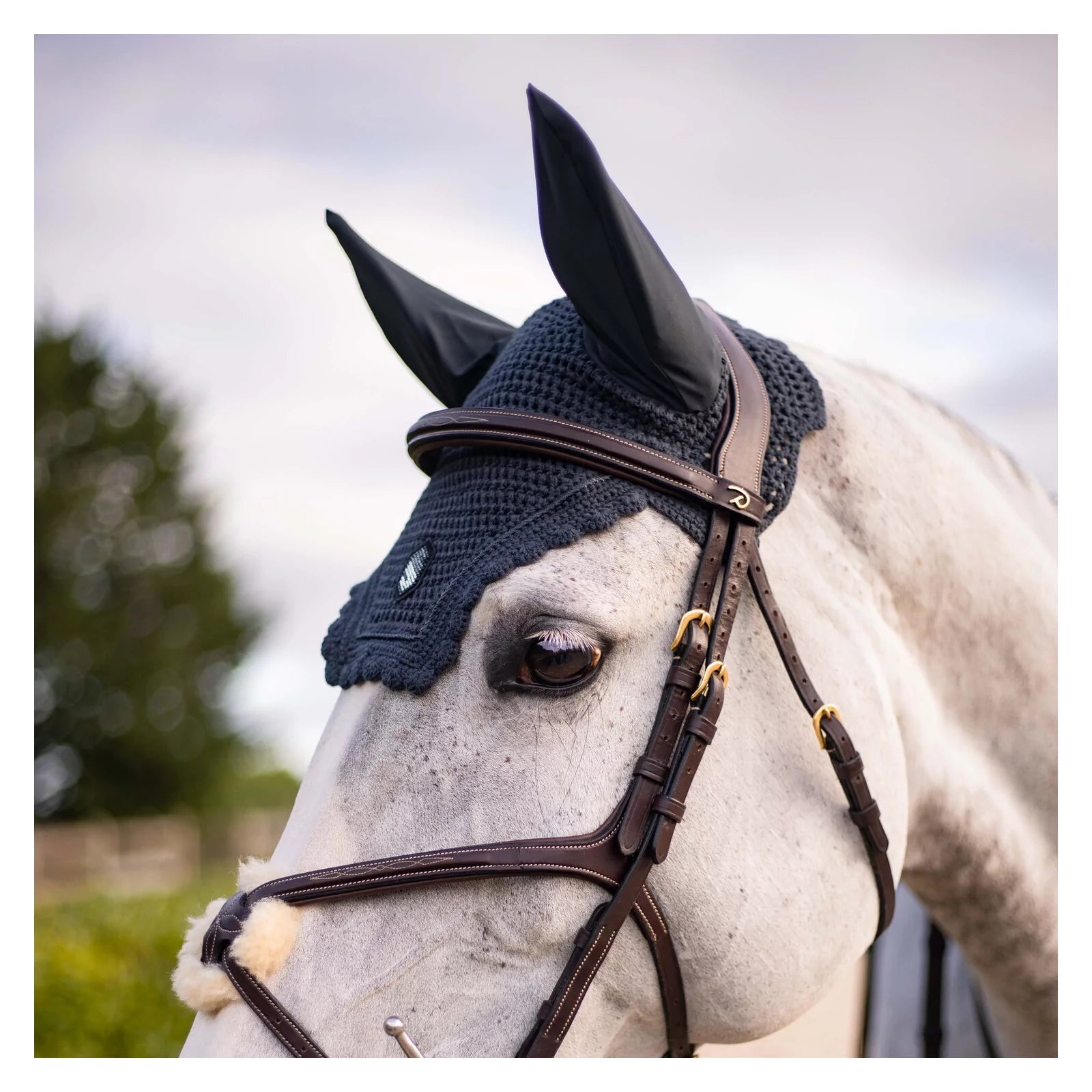 Close-up side view of a gray horse wearing the anthracite swarovski Samshield Fly Veil