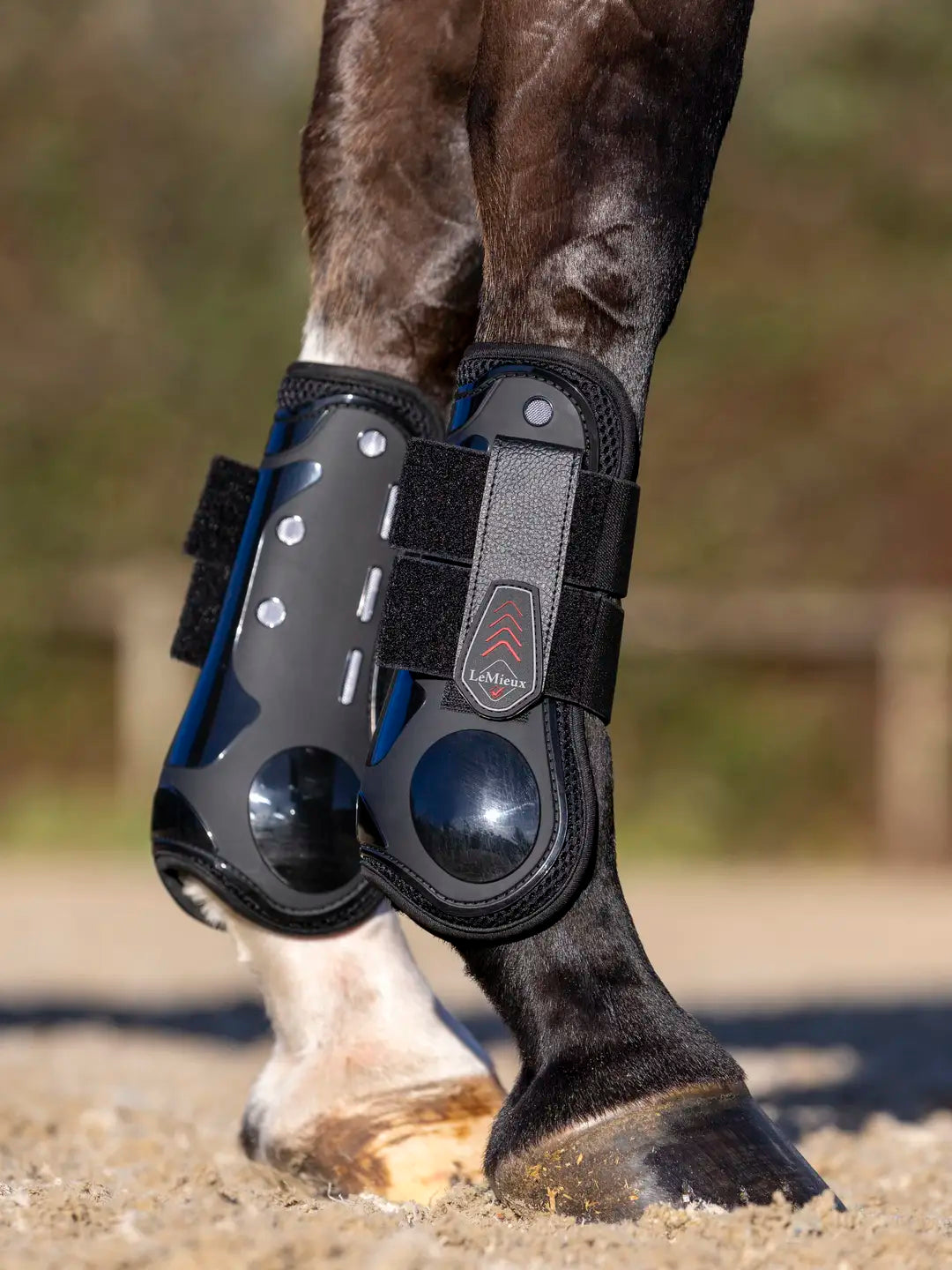 Cloe-up side view of a horse wearing the black LeMieux Derby Projump Tendon Boots while standing in an arena