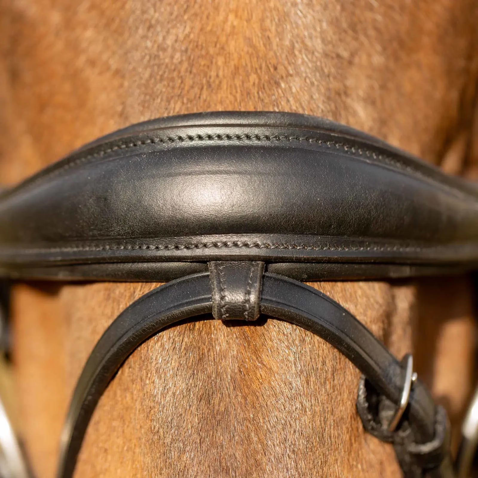 Close-up view of the noseband on the Equinavia Valkyrie Anatomic Dressage Bridle with Rubber Reins