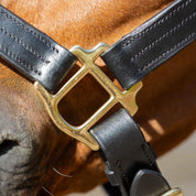 Close-up view of the cheekpiece on the black Equinavia Valkyrie Classic Leather Halter