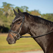 Side view of a dark colored horse wearing the Equinavia Valkyrie Anatomic Dressage Bridle with Rubber Reins outside