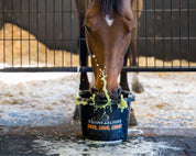 Front view of a horse drinking from a water bucket with Equine Elixers Chug mixed in