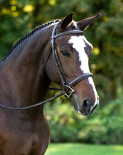 Angled front view of a horse wearing the Black Oak Laurel Hunter Bridle while standing outside