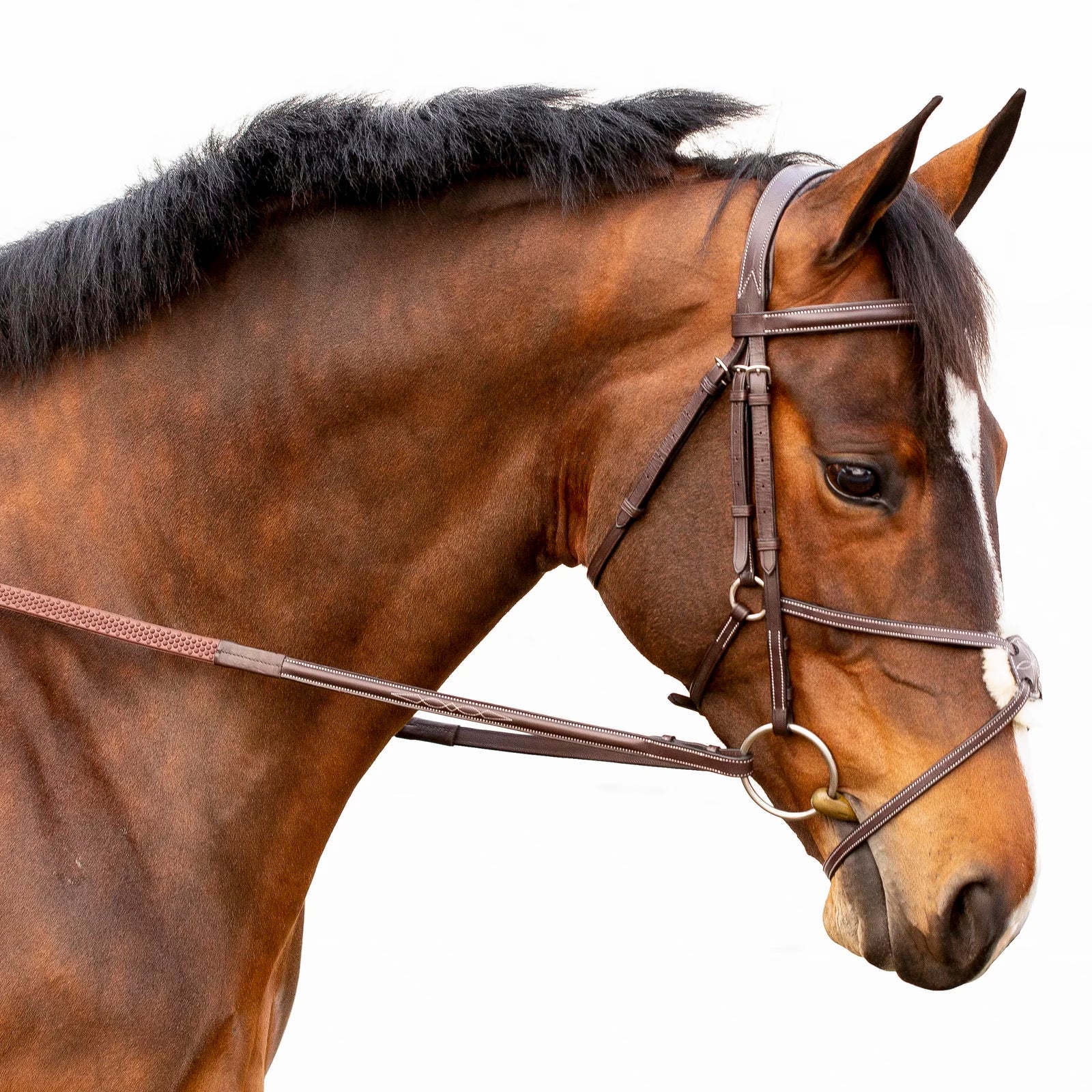 Side view of a bay horse wearing the Equinavia Valkyrie Fancy Stitched Figure 8 Bridle & Reins on a plain background