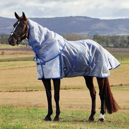 A dark brown horse standing in a grassy field wearing a light blue and white gingham fly sheet with blue trim and straps, with hills and a cloudy sky in the background.
