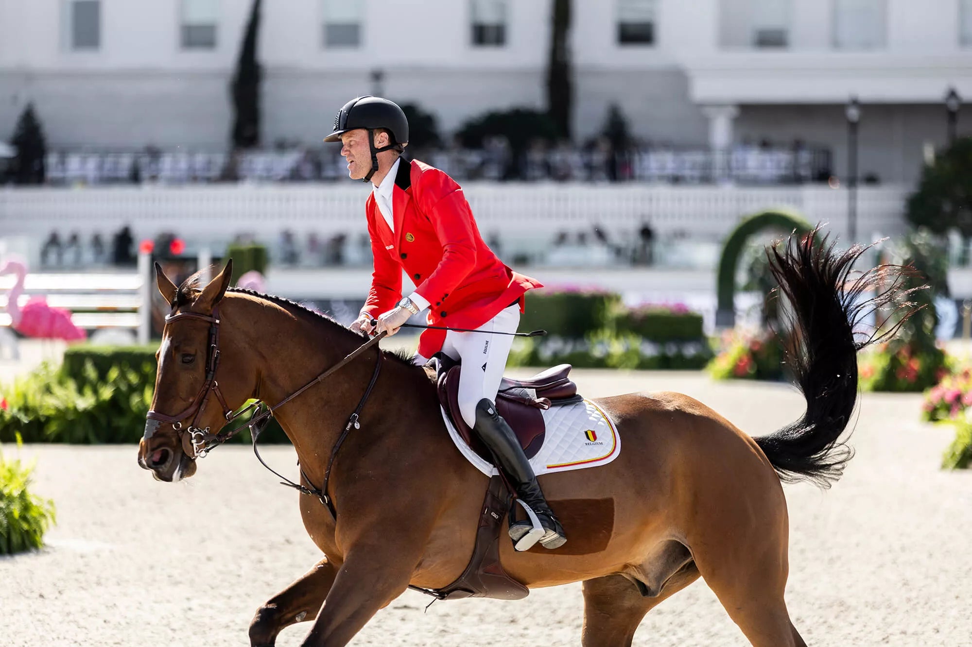 Side view of a male model using the Free Jump Soft'Up Pro+ Stirrups while riding a horse in an outdoor arena