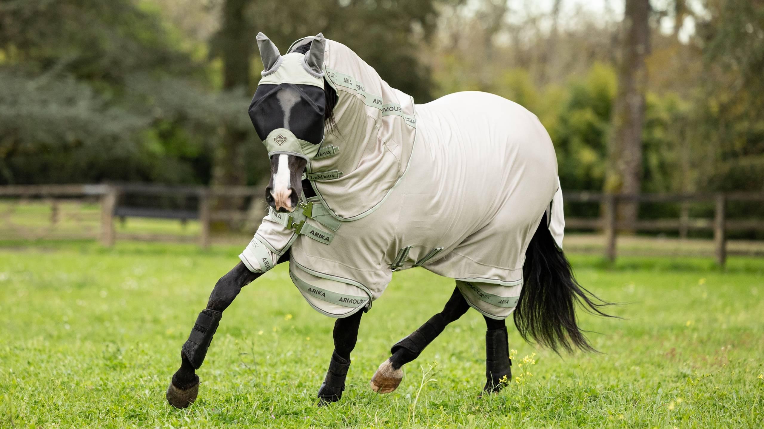 Angled front view of a dark colored horse wearing the stone LeMieux Arika Armour-Tek Fly Blanket while running in a field