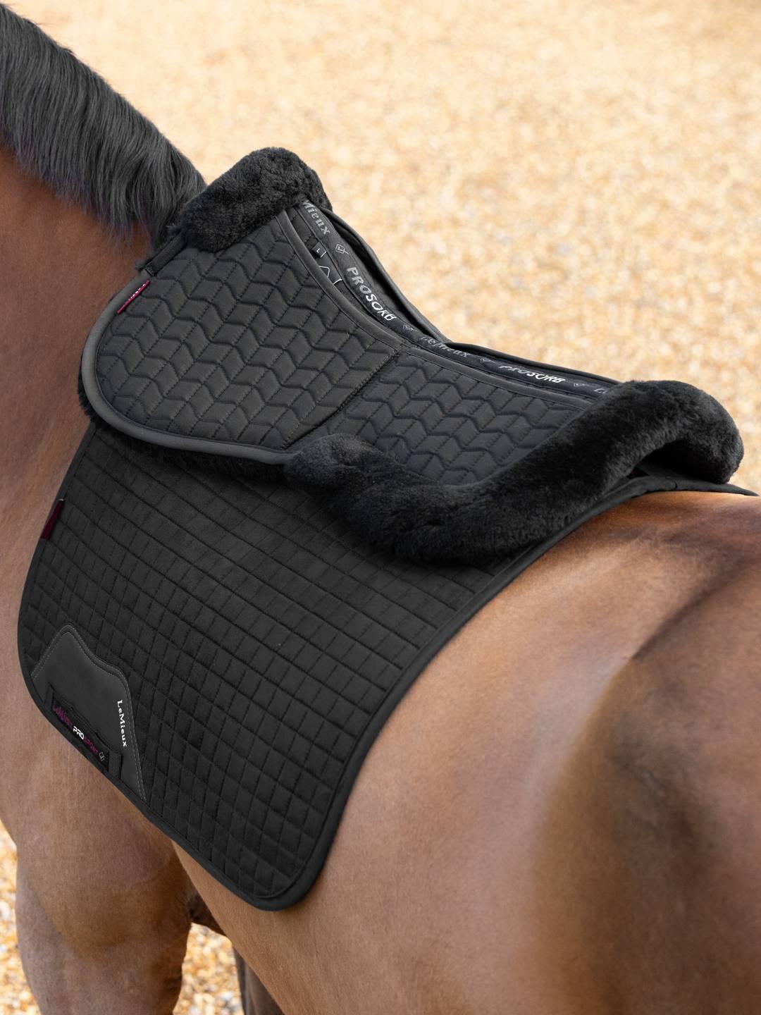Angled back view of the LeMieux Merino+ ProSorb 2 Pocket Half Pad on black pad worn by a bay horse