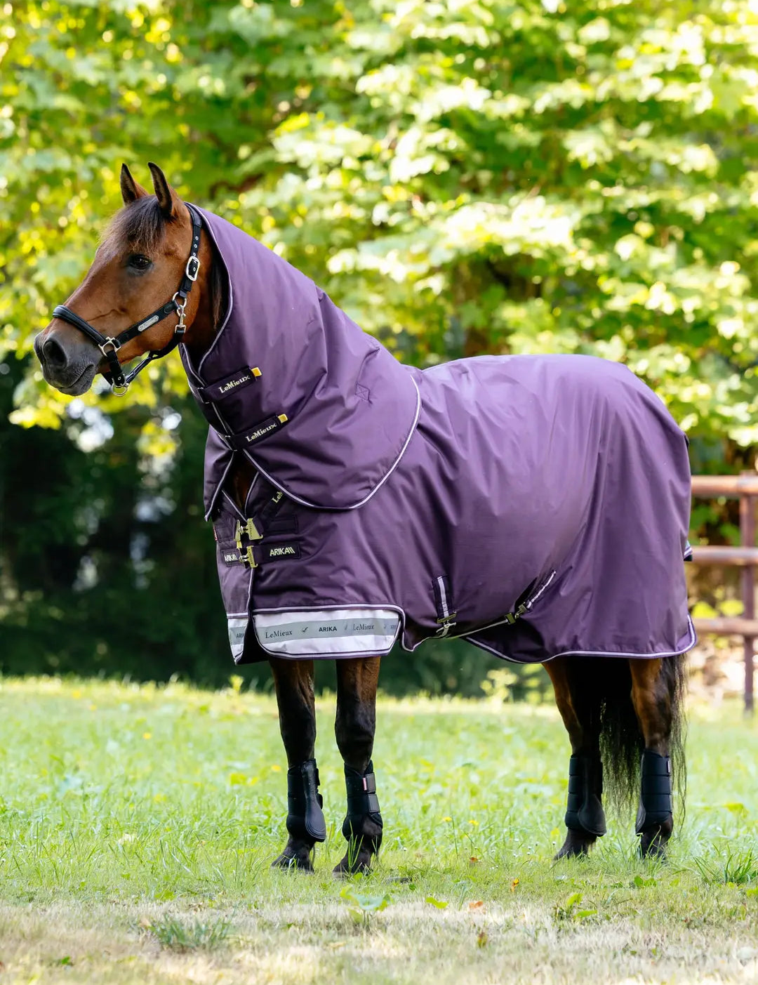 Brown horse standing in a field wearing the LeMiuex Arika Ripstop 0G Turnout Rug in Juniper