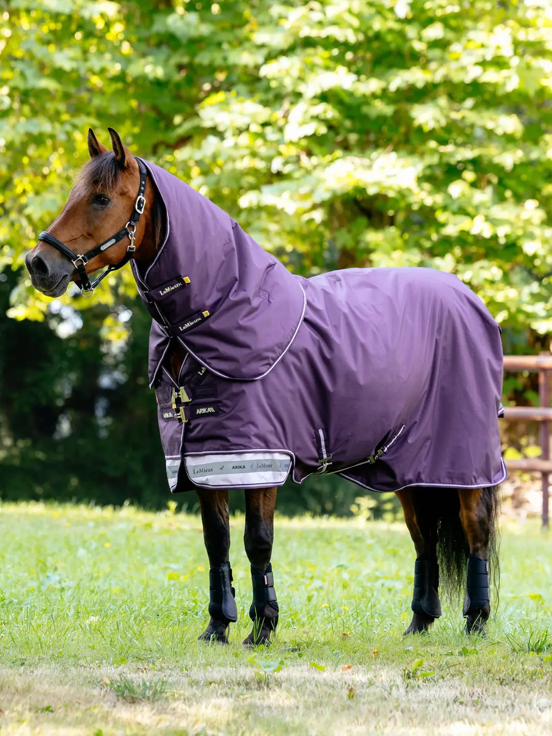 Brown horse standing in a field wearing the LeMiuex Arika Ripstop 0G Turnout Rug in Juniper
