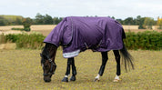 Horse grazing in a field while wearing the LeMiuex Arika Ripstop 0G Turnout Rug in Juniper