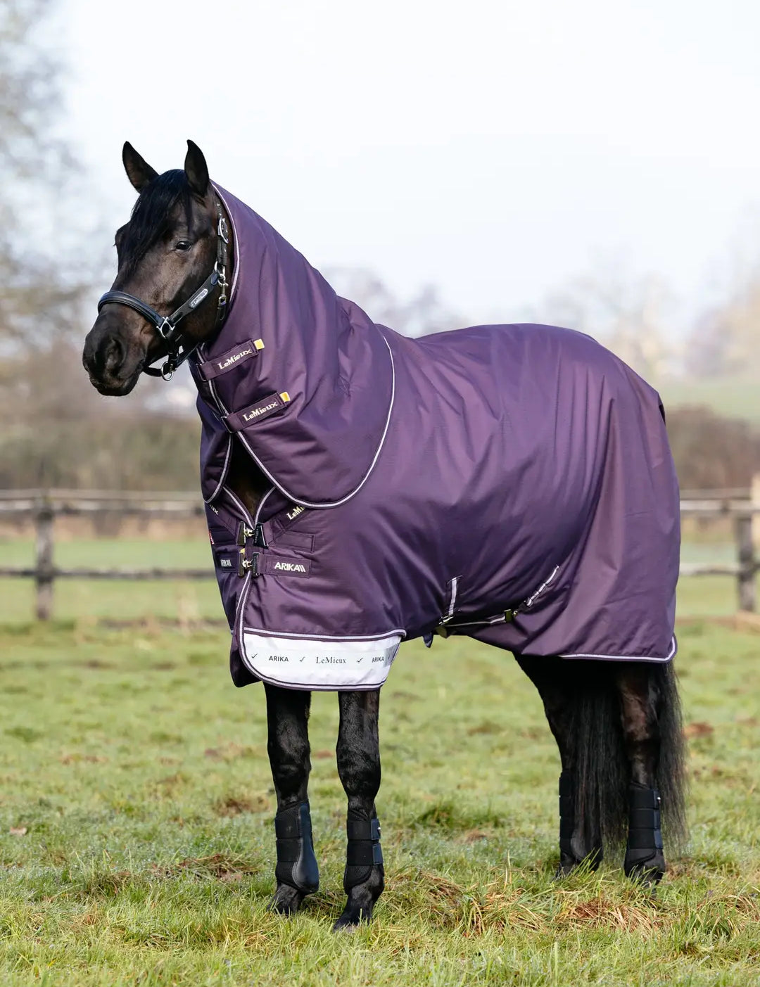 Black horse standing in a field wearing the LeMiuex Arika Ripstop 0G Turnout Rug in Juniper