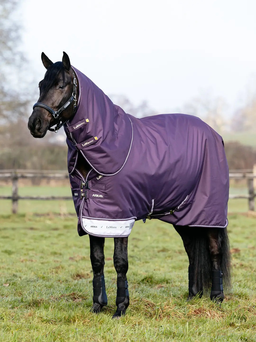 Black horse standing in a field wearing the LeMiuex Arika Ripstop 0G Turnout Rug in Juniper