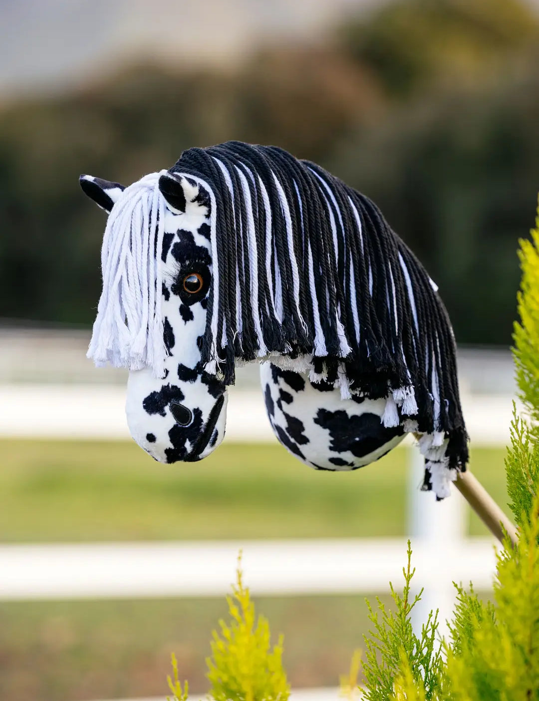 Side view of the Dakota Appaloosa LeMieux Hobby Horse outside