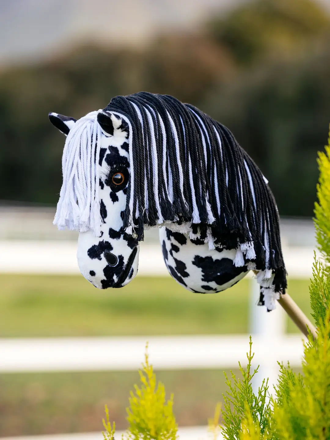 Side view of the Dakota Appaloosa LeMieux Hobby Horse outside