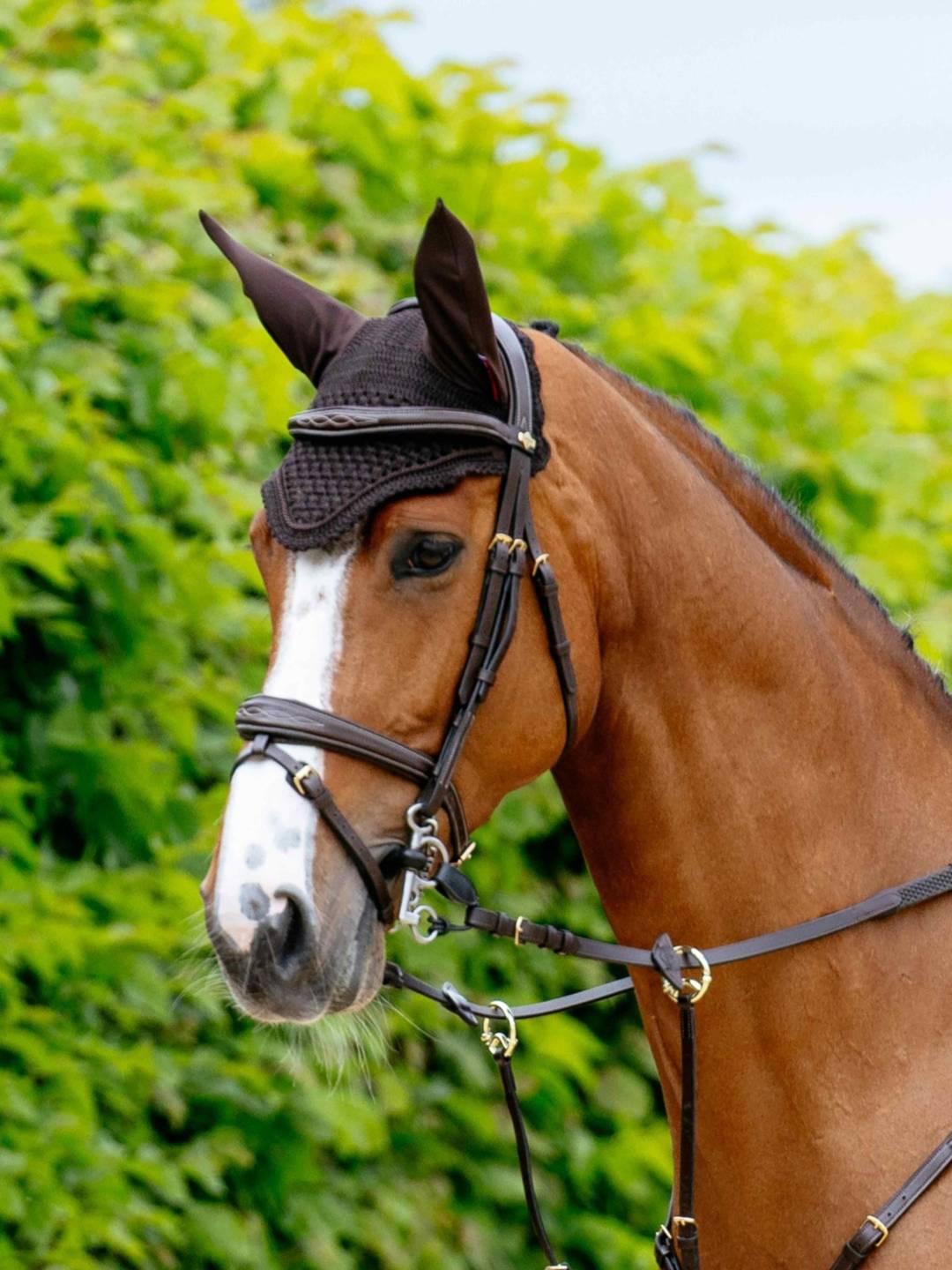 Angled front view of a chestnut horse wearing the brown LeMieux Vogue Fly Hood while standing outside