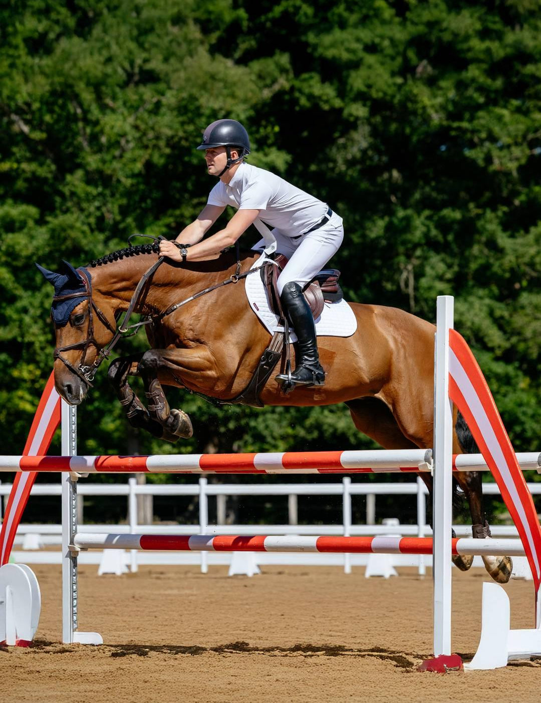 Side view of a male model jumping a bay horse over a jump while it is wearing the white LeMieux Cotton Close Contact Square Pad