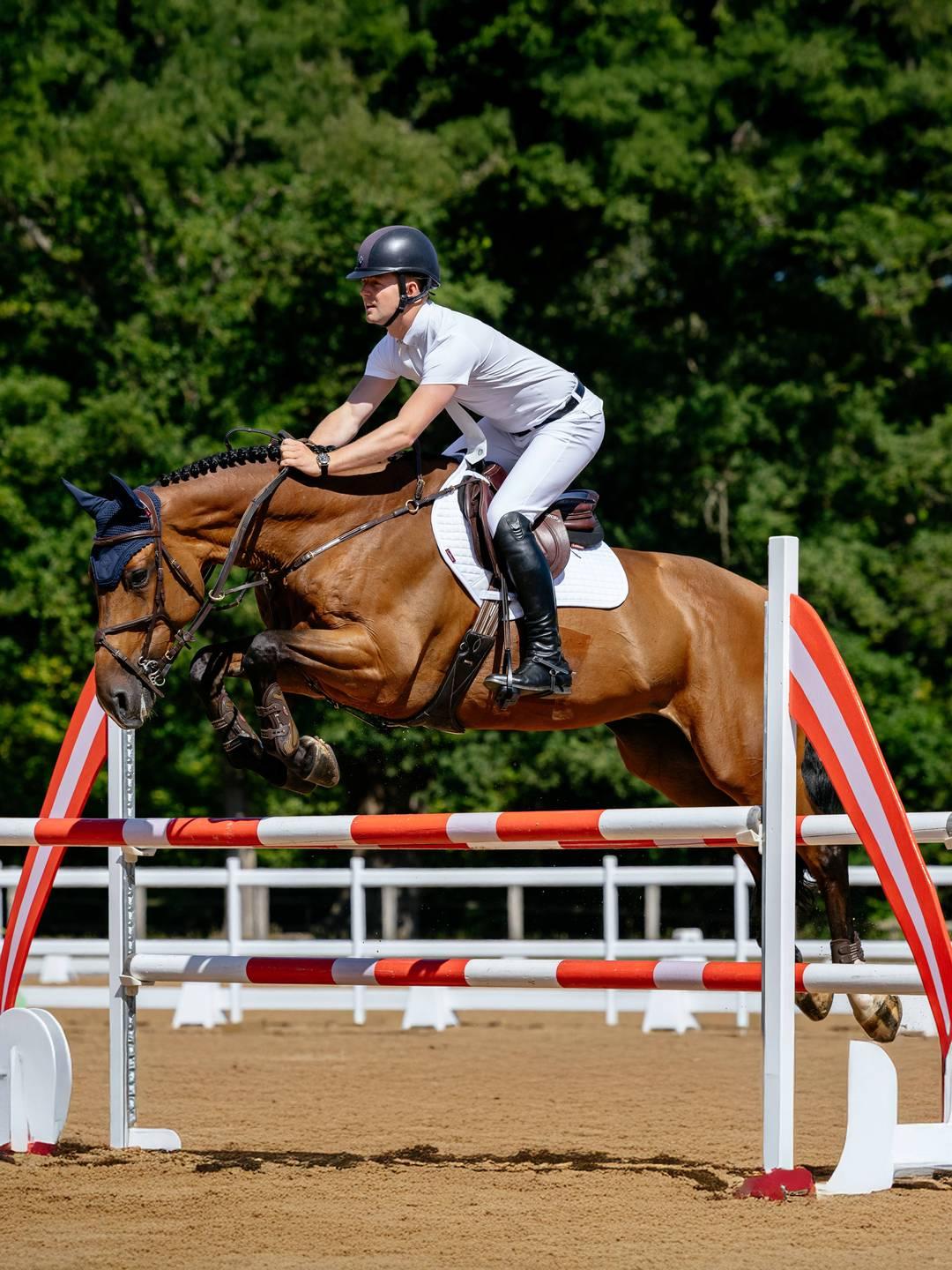 Side view of a male model jumping a bay horse over a jump while it is wearing the white LeMieux Cotton Close Contact Square Pad