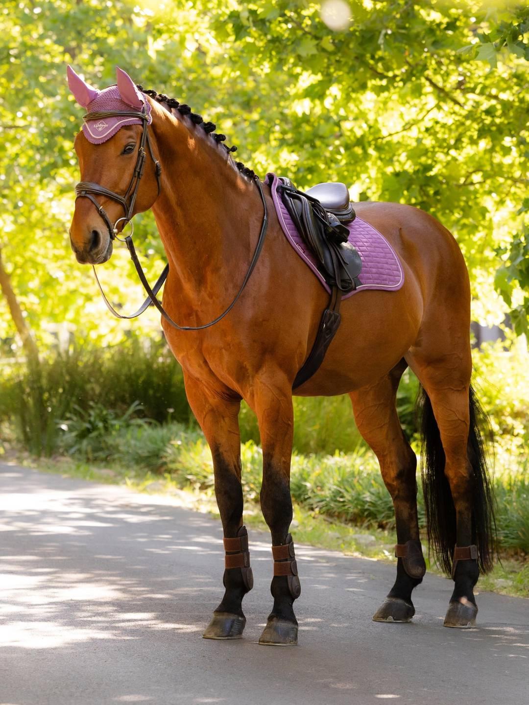 Angled front view of a bay horse wearing the mallow LeMieux Suede Close Contact Square Pad and matching accessories while standing on a paved road