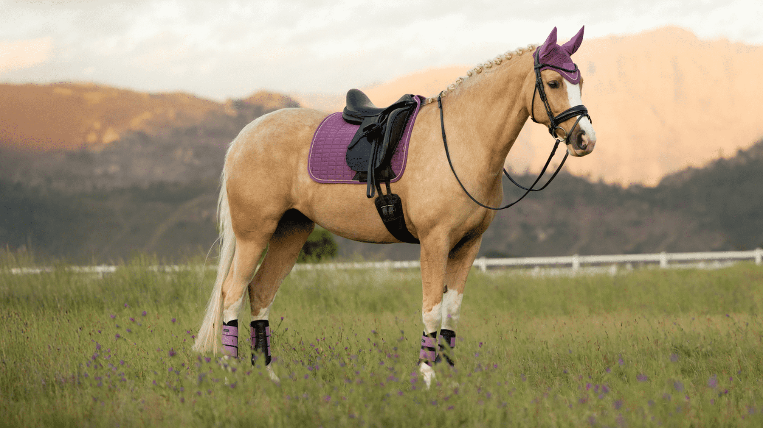 Side view of a palomino horse wearing the mallow LeMieux Suede Dressage Square Pad and matching accessories while standing in a pasture