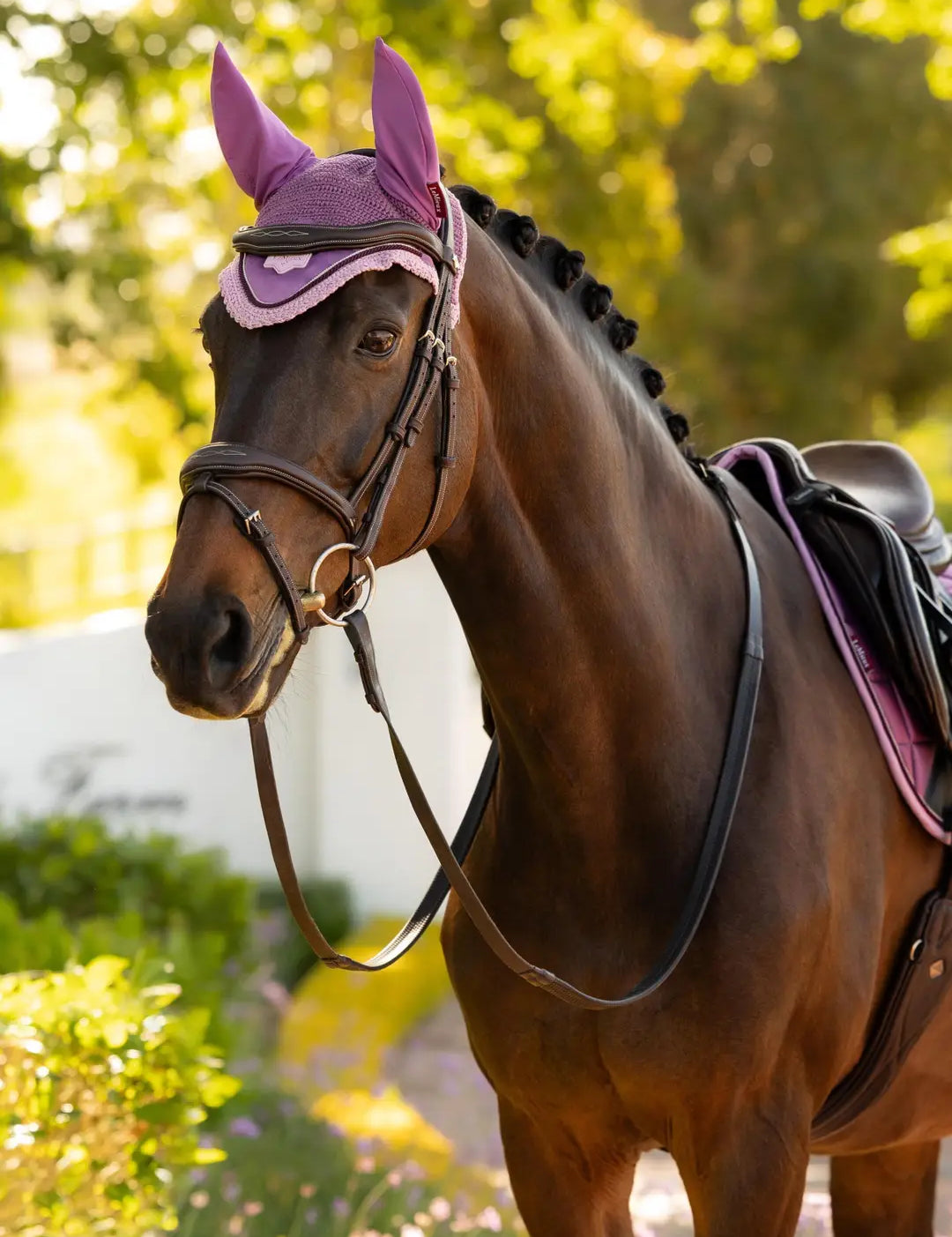 Horse standing outside wearing the LeMieux Loire Fly Hood in Mallow