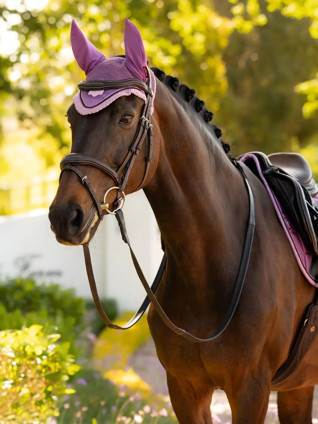 Horse standing outside wearing the LeMieux Loire Fly Hood in Mallow