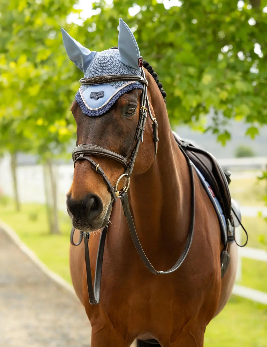 Horse standing outside wearing the LeMieux Loire Fly Hood in Powder Blue