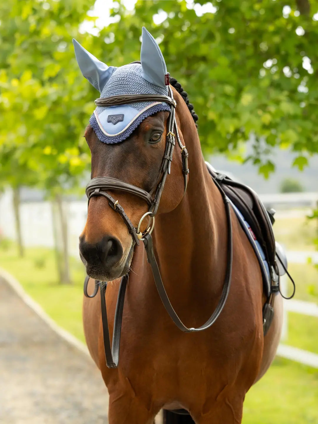 Horse standing outside wearing the LeMieux Loire Fly Hood in Powder Blue