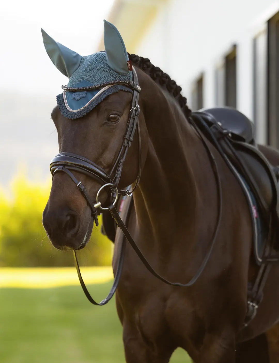 Horse wearing the LeMieux Loire Fly Hood in Jungle while standing outside