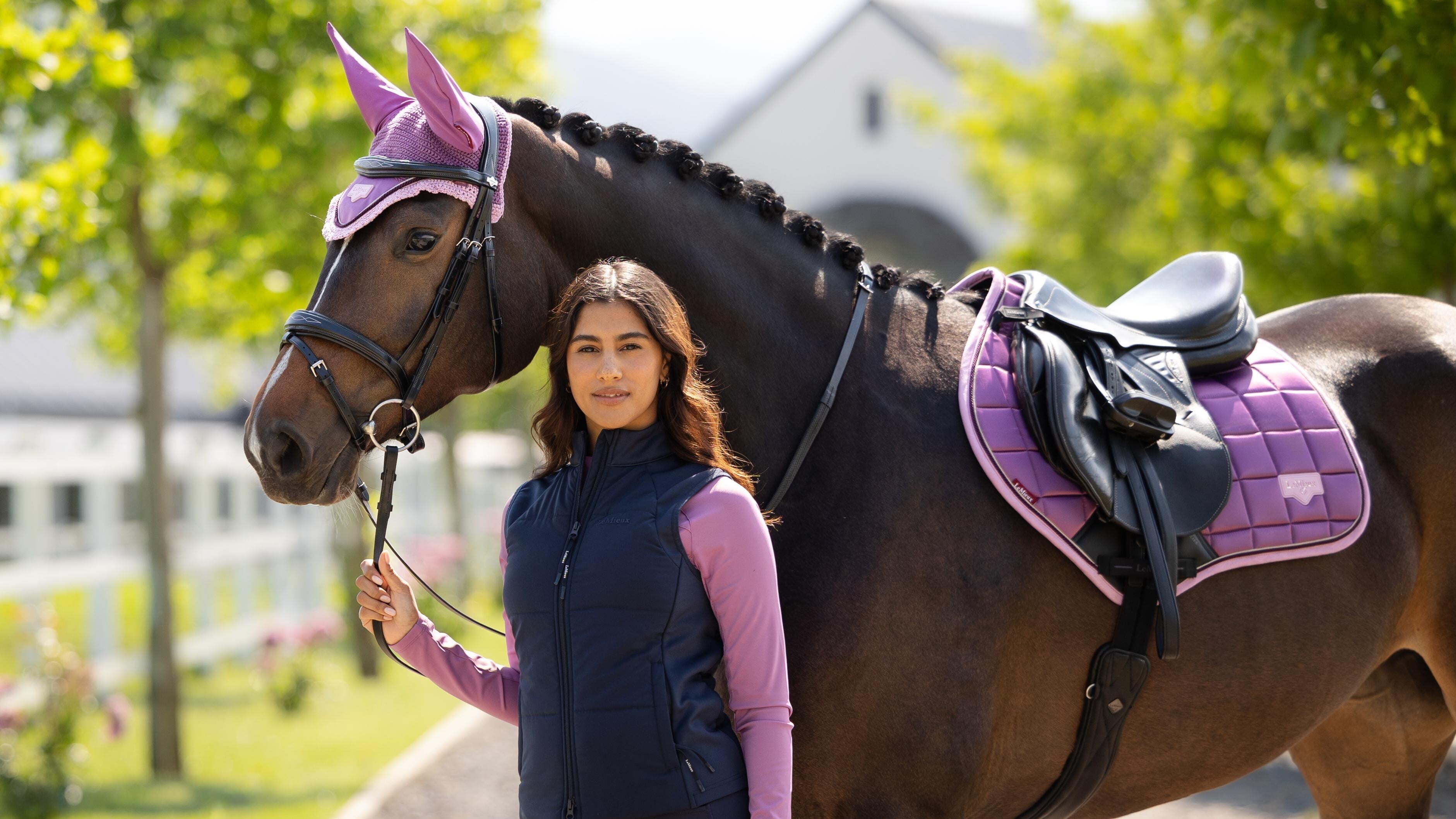 Horse wearing a purple saddle pad with ear bonnet and leg wraps, person standing beside horse