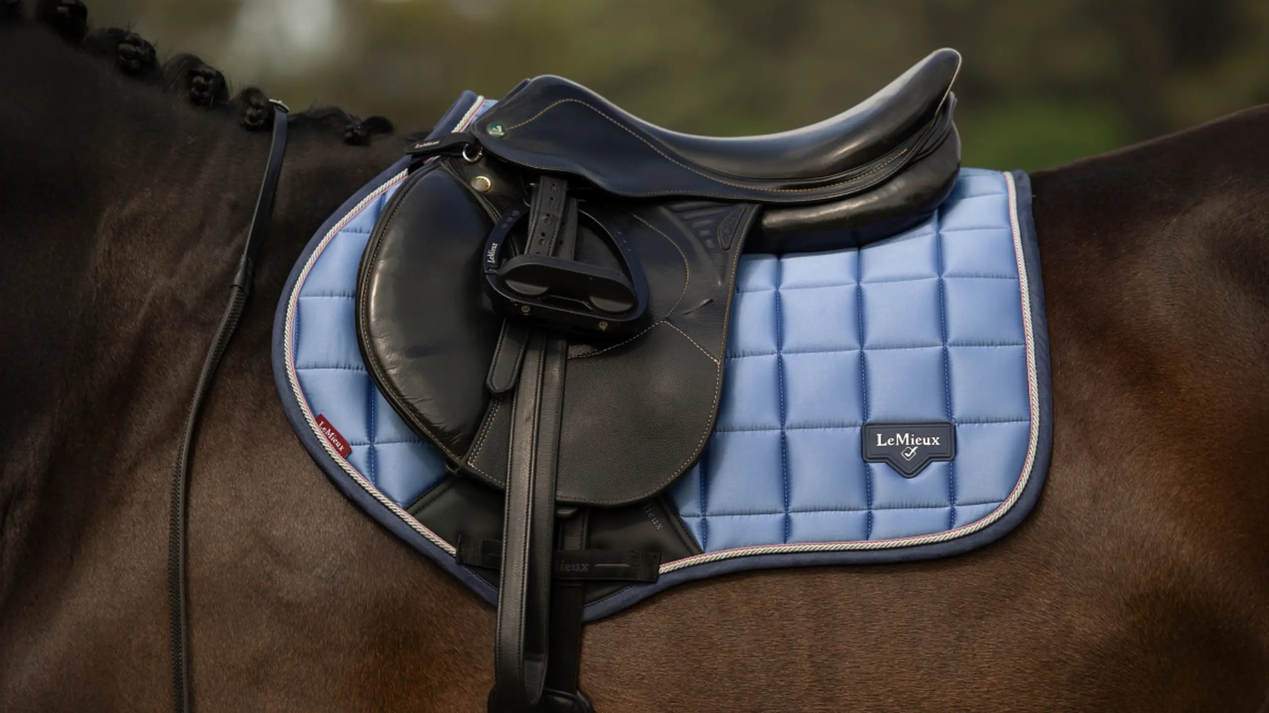 Close-up of light blue saddle pad under a black saddle on a horse
